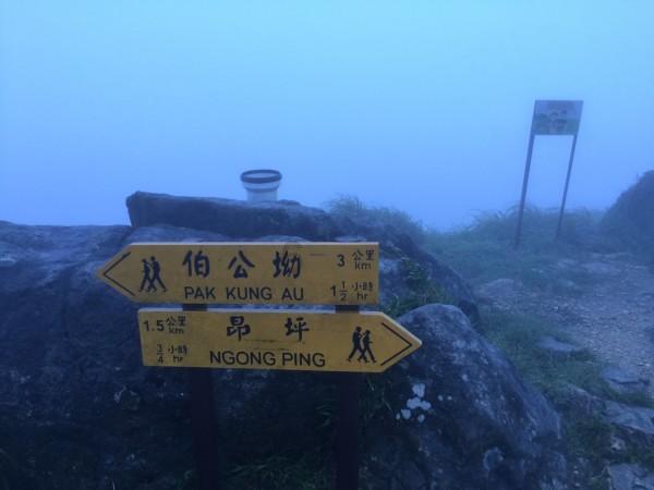 云和县“木玩”绿色转型讲述“最美童话”